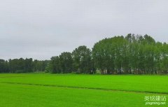 長(zhǎng)沙建網(wǎng)站